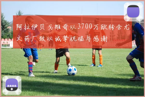 阿拉伊贝戈维奇以3700万欧转会尤文药厂致以诚挚祝福与感谢